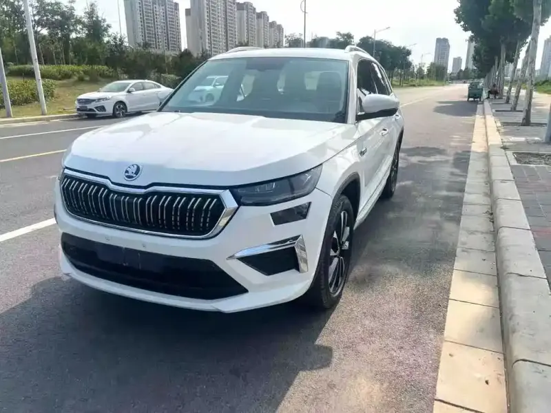 Skoda Kodiaq, 2024