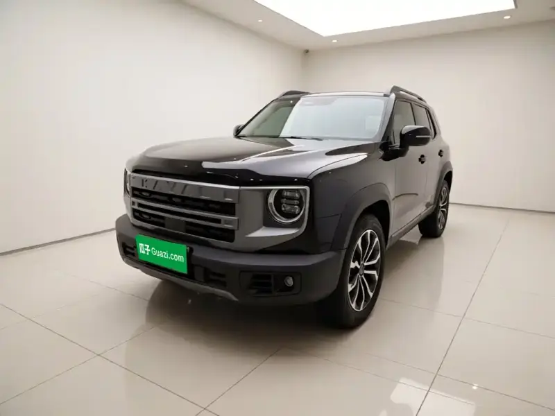 Haval Big Dog, 2024