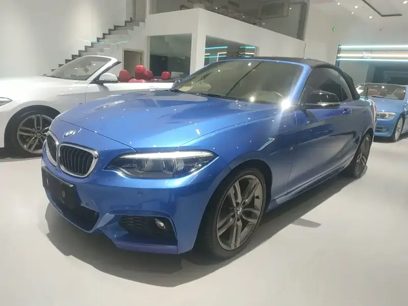BMW 2 Series (Import), 2018