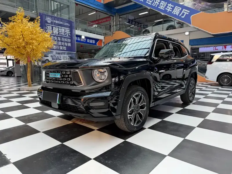 Haval PLUS, 2024