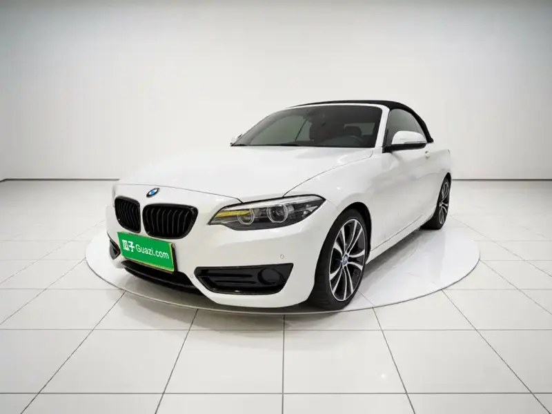 BMW 2 Series (Import), 2019