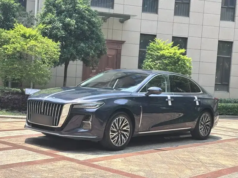 Hongqi H5, 2024