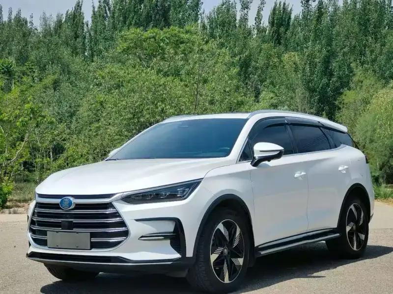 BYD Tang New Energy, 2024