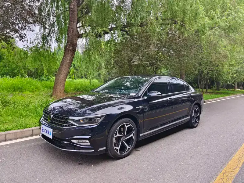 Volkswagen Magotan, 2024
