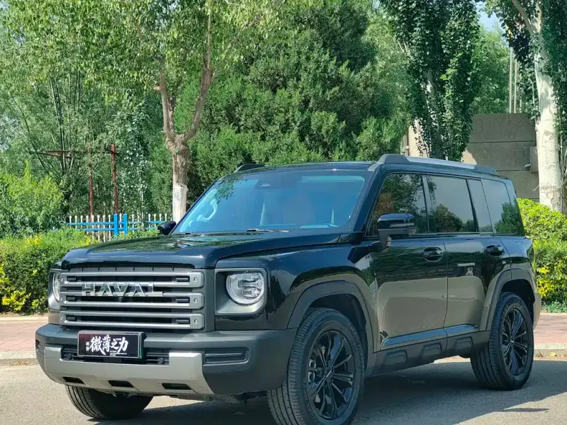 Haval Menglong New Energy, 2024