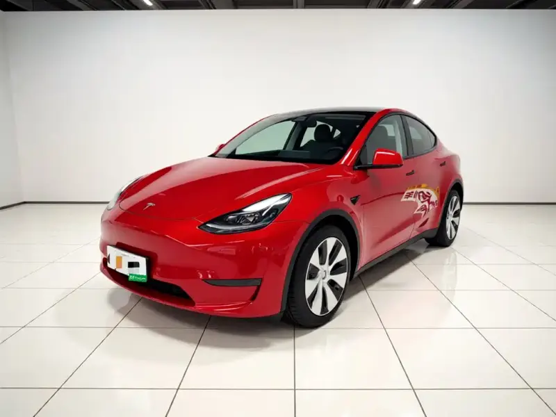 Tesla Model Y, 2021
