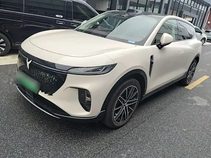 VOYAH Zhiyin, 2025