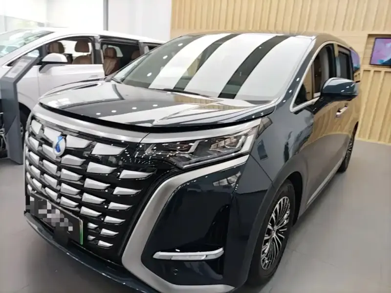 Denza D9, 2023