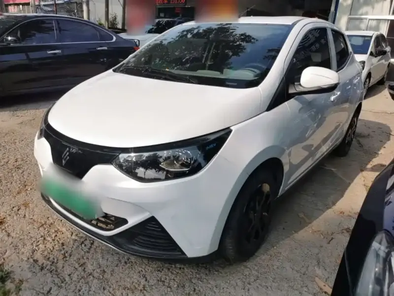 JMEV EV2, 2024