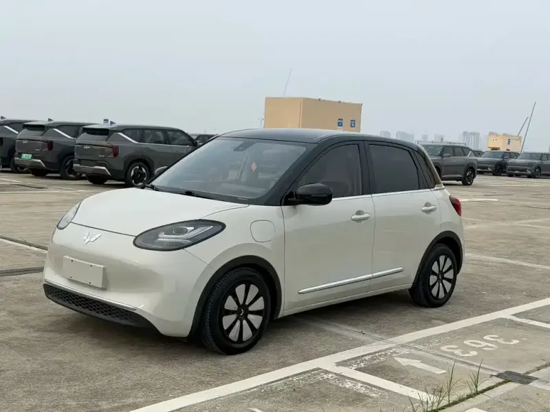 Wuling Bingo, 2024