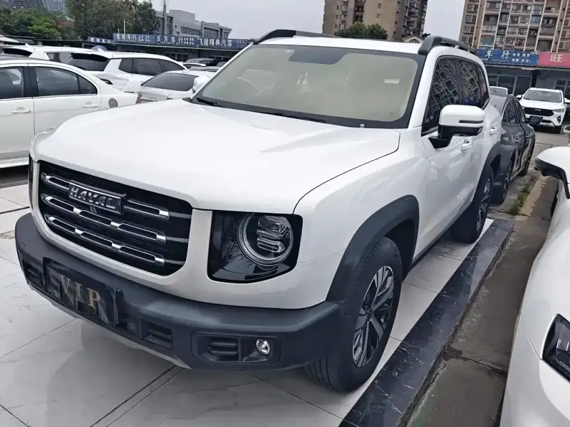 Haval Big Dog, 2021