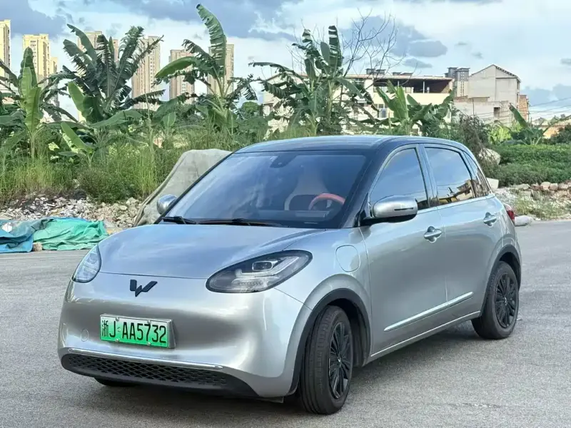 Wuling Bingo, 2023