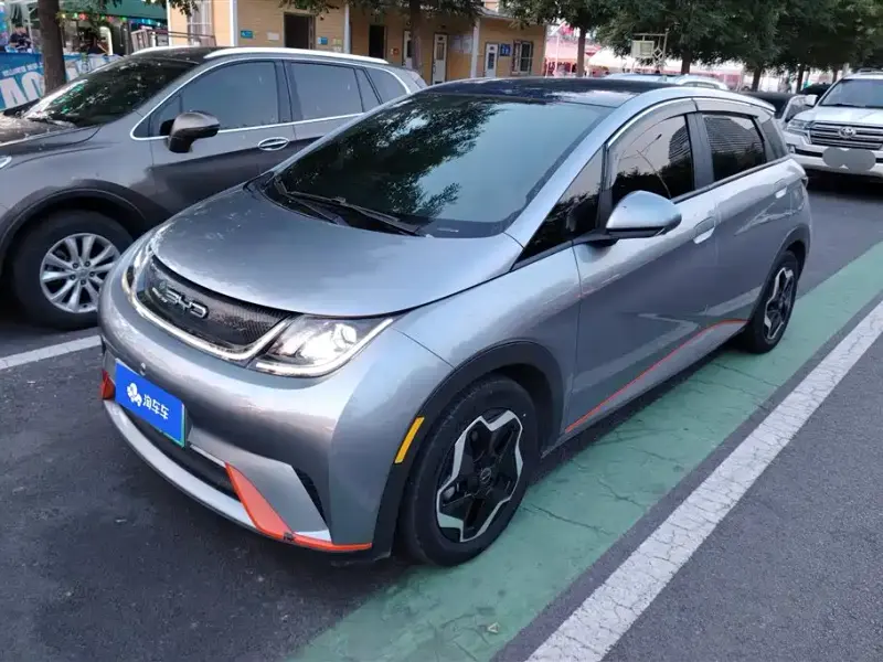BYD Dolphin, 2022