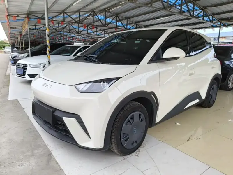 BYD Seagull, 2025