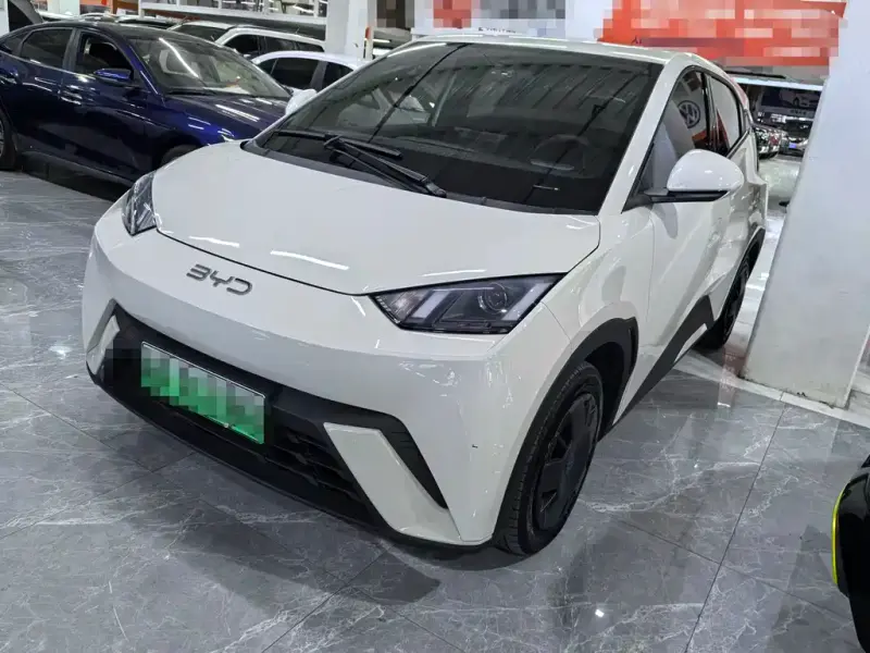 BYD Seagull, 2024