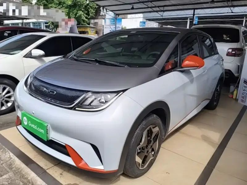 BYD Dolphin, 2021