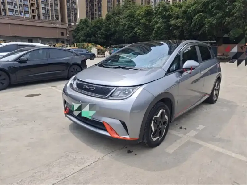 BYD Dolphin, 2022