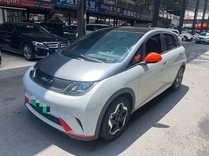 BYD Dolphin, 2022