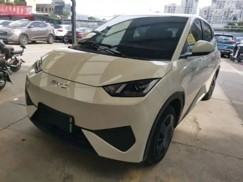 BYD Seagull, 2026