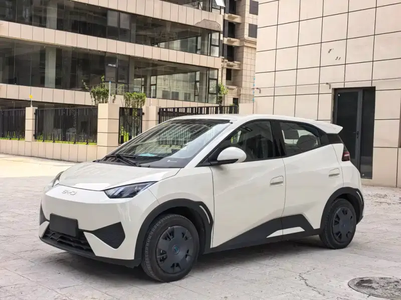 BYD Seagull, 2026