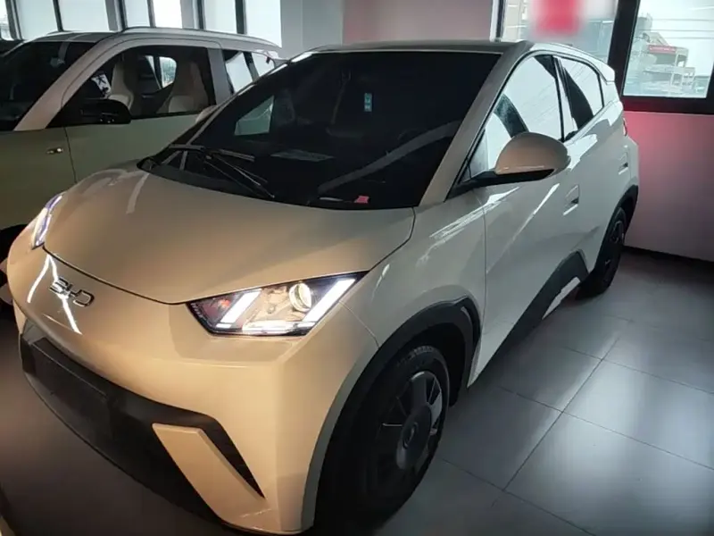 BYD Seagull, 2025