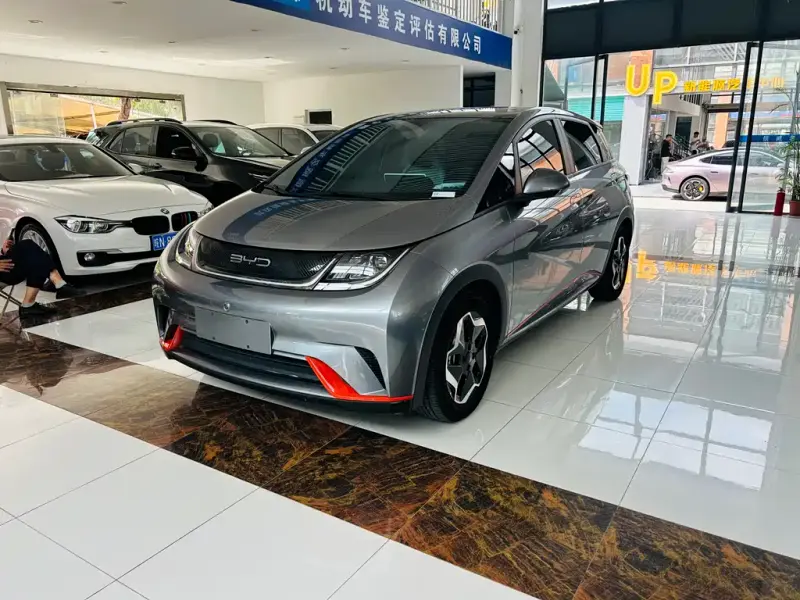 BYD Dolphin, 2022