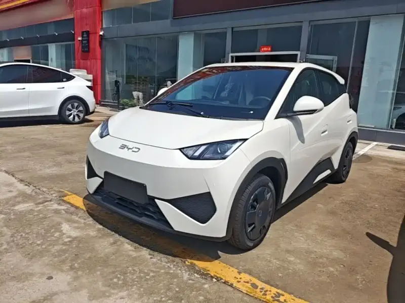 BYD Seagull, 2026