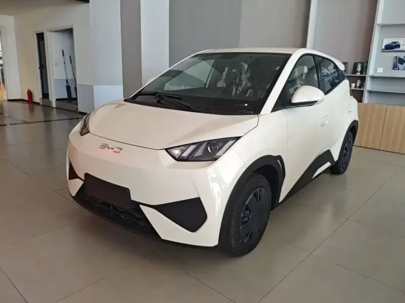 BYD Seagull, 2026