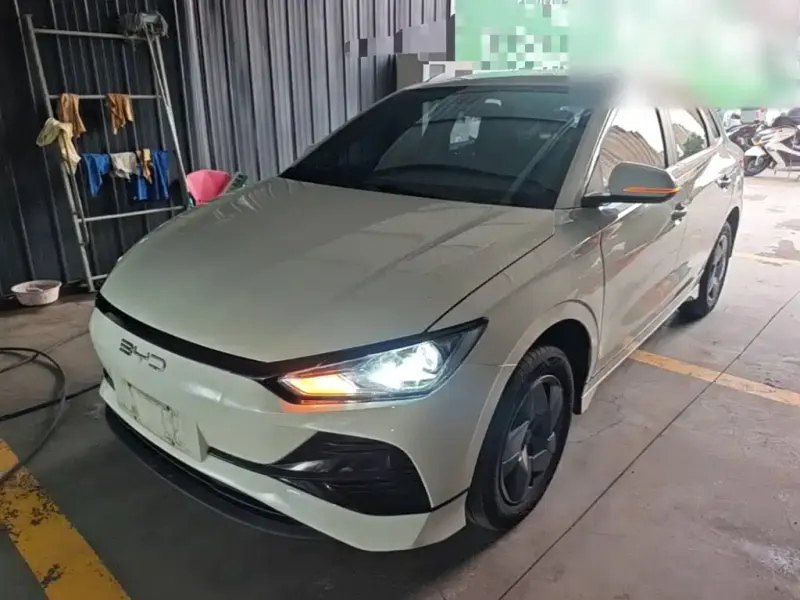 BYD e2, 2024
