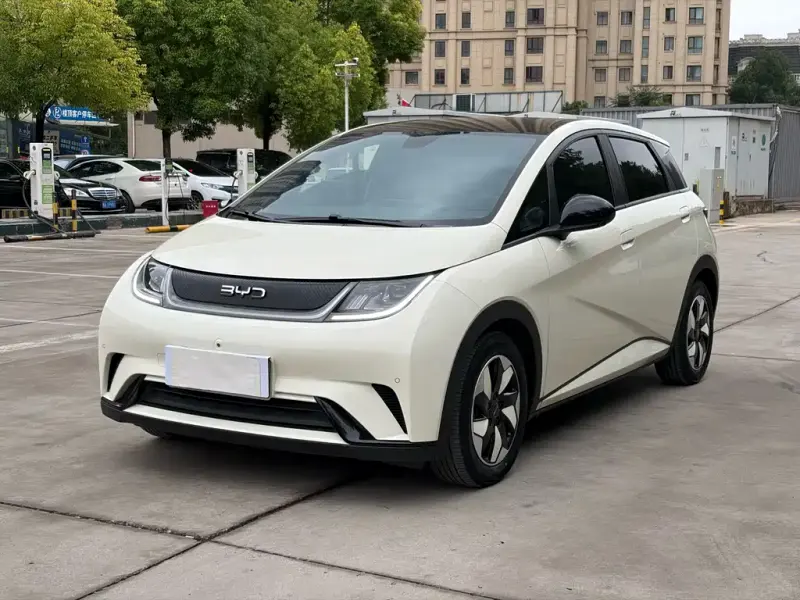 BYD Dolphin, 2024