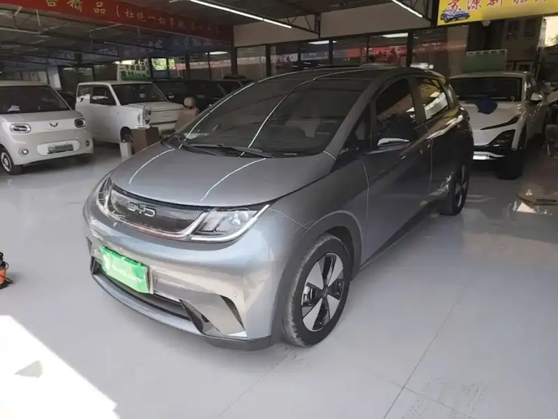 BYD Dolphin, 2023