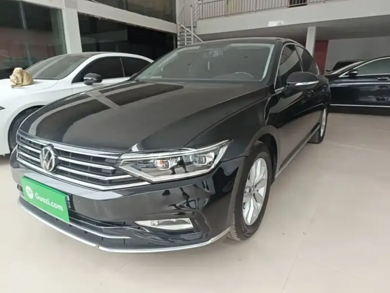 Volkswagen Magotan, 2020