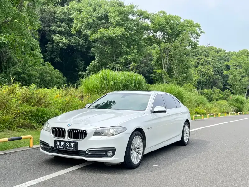 BMW 5 Series, 2017