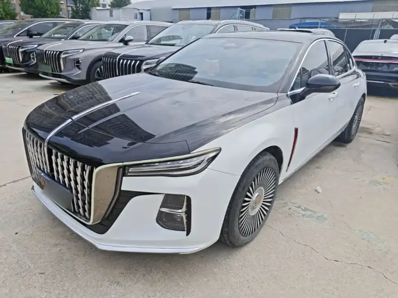 Hongqi H5, 2024