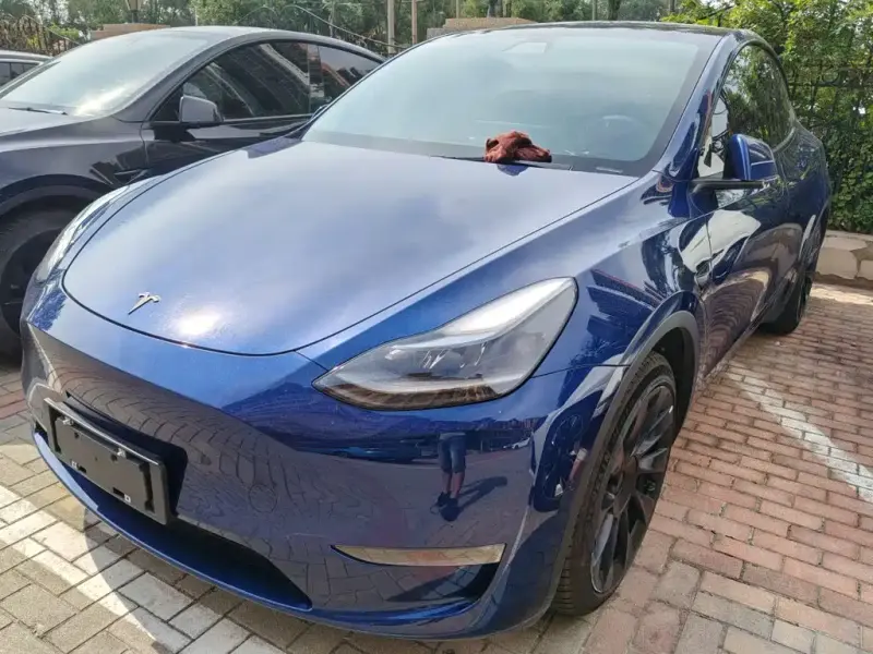 Tesla Model Y, 2021