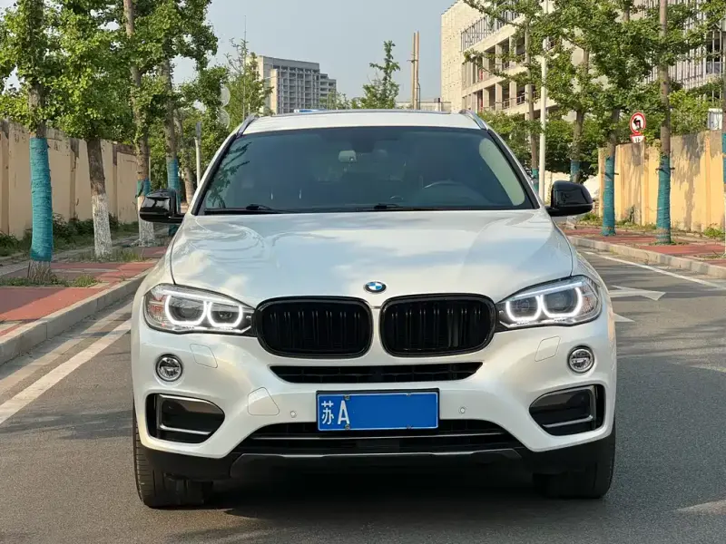 BMW X6, 2019