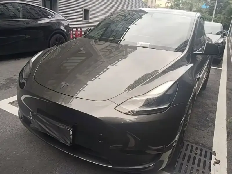 Tesla Model Y, 2022