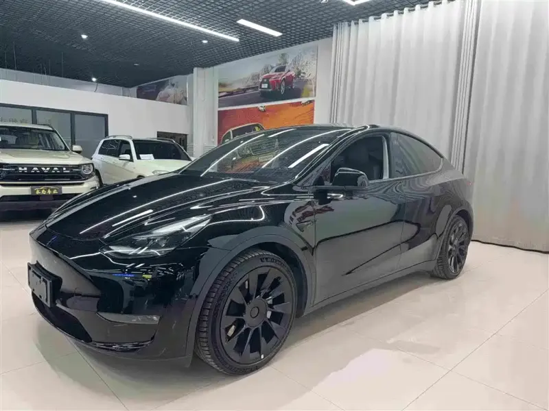 Tesla Model Y, 2021