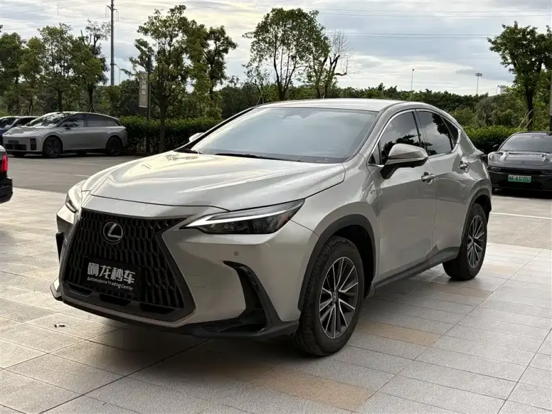 Lexus NX, 2024