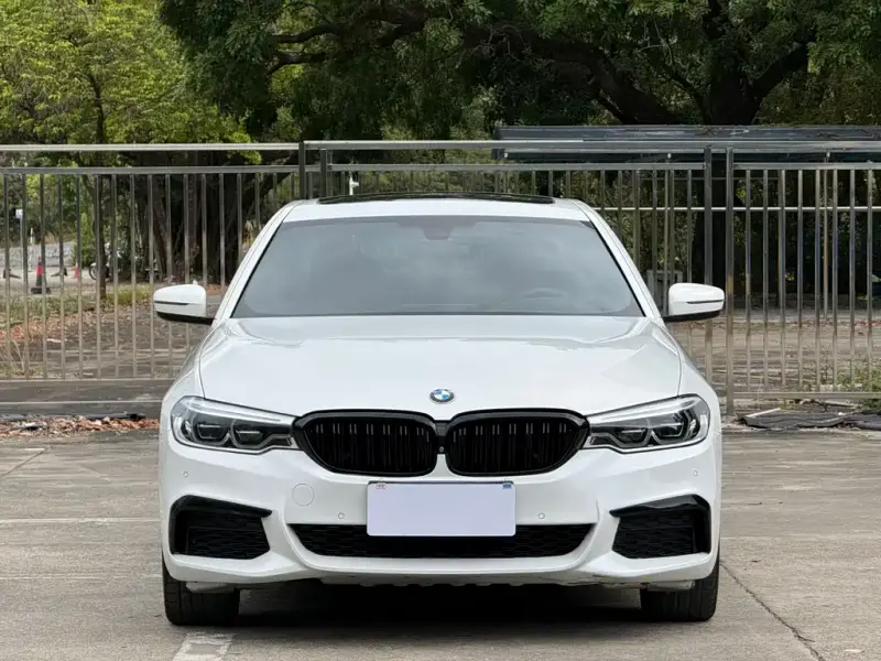 BMW 5 Series, 2020