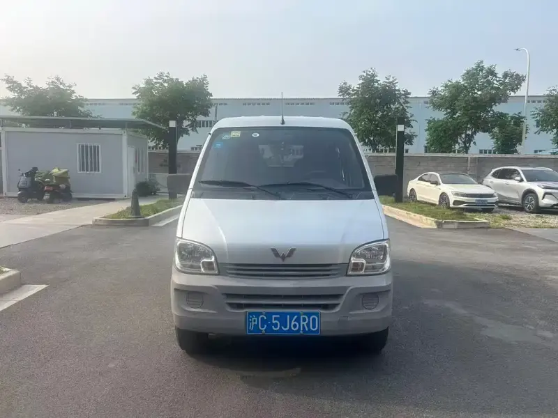Wuling Zhiguang, 2020