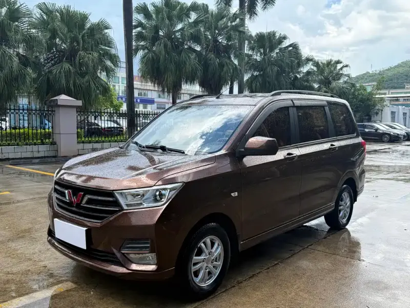 Wuling Hongguang, 2019