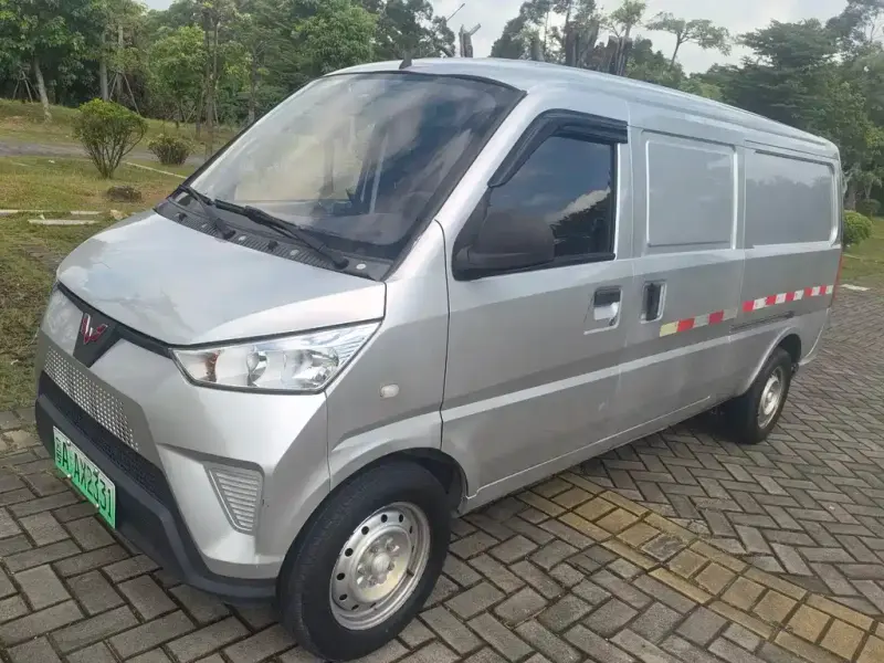 Wuling EV50, 2022