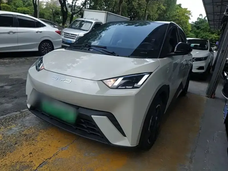 BYD Seagull, 2024