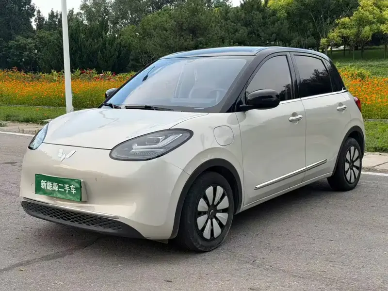 Wuling Bingo, 2024