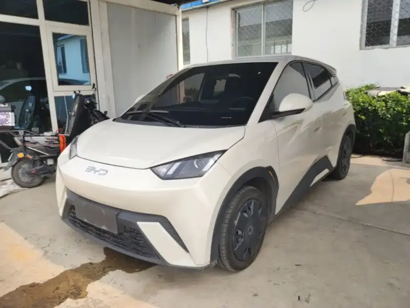 BYD Seagull, 2024