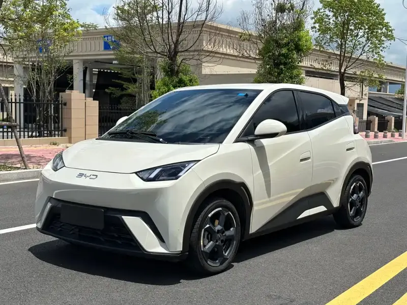 BYD Seagull, 2024