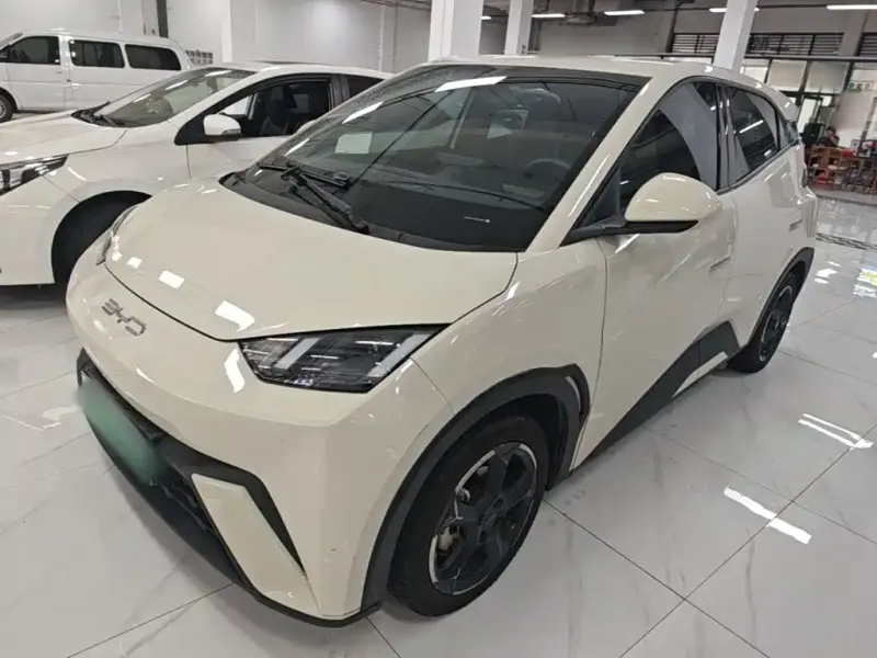 BYD Seagull, 2024