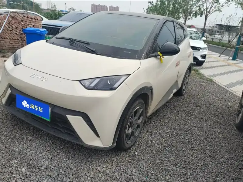 BYD Seagull, 2025