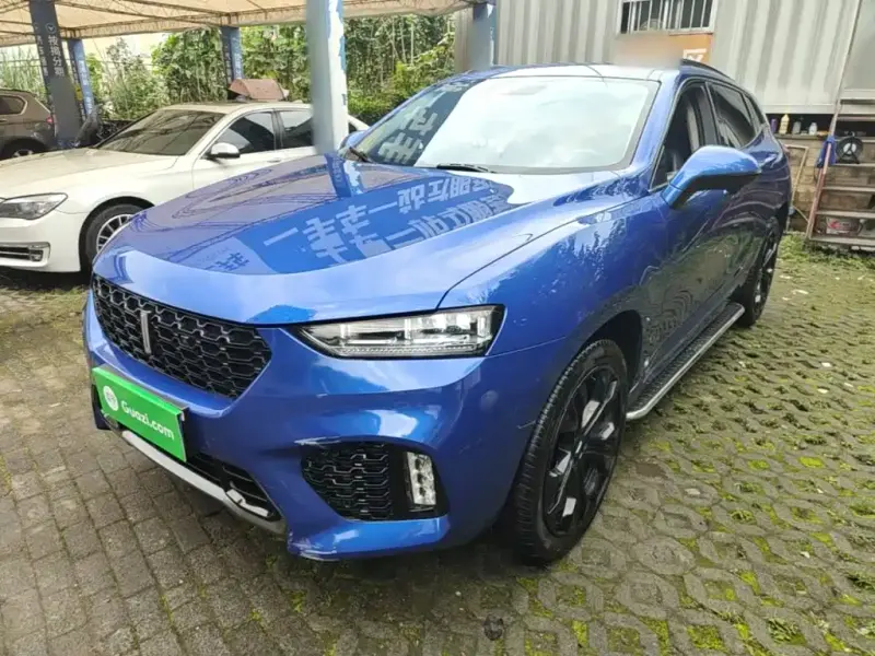 Wey VV7, 2019